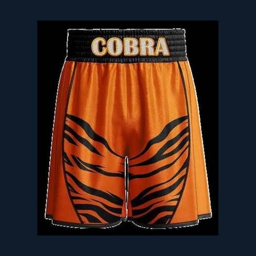 Custom boxing & fight shorts — BS-960 series